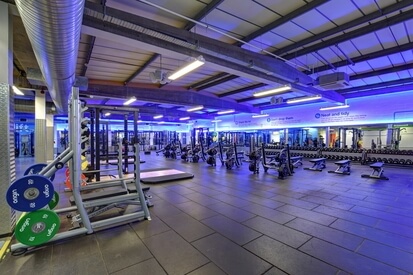 the gym purley way